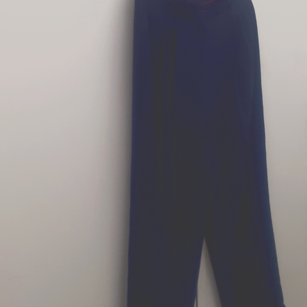 NWT CADENCE NAVY Pleated DRESS pants SZ 14